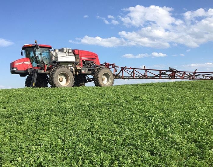 Take care with spring spraying post image