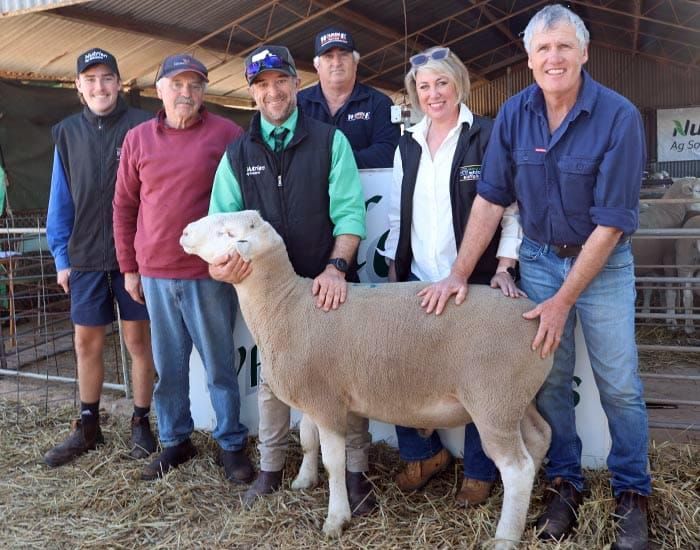 Full clearance and solid average at Jandebrey post image