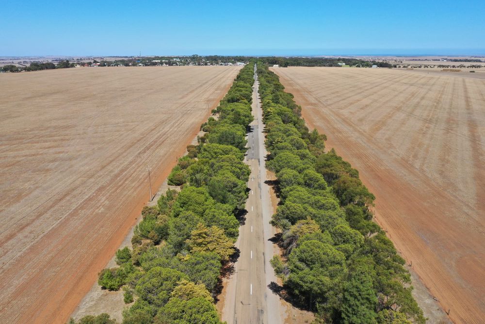 Road ratings withheld post image