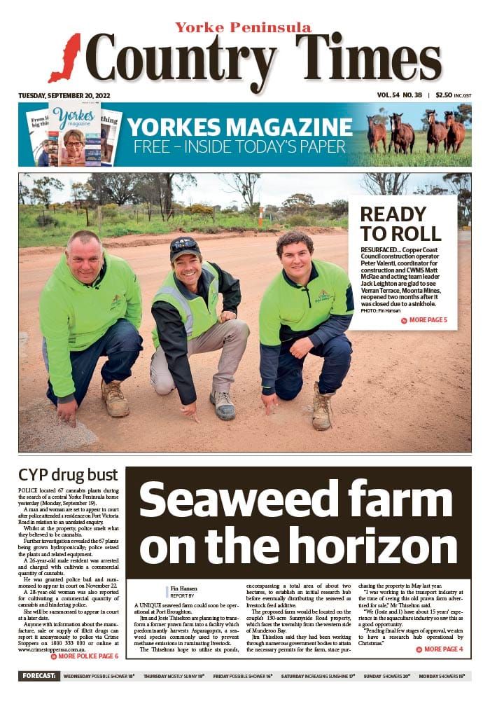 September 20, 2022 post image