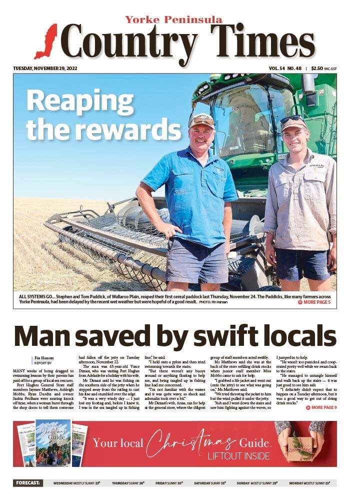 November 29, 2022 post image