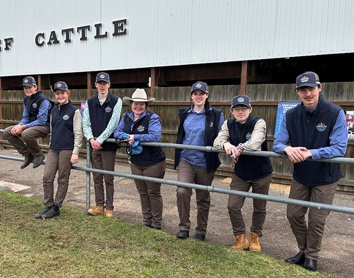 Steer success for Yorkes Ag Alliance post image