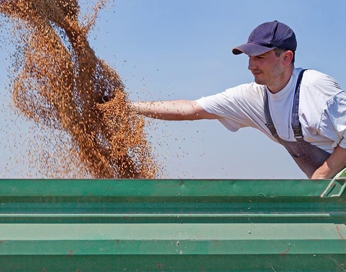 Farm safety campaign launched after spate of workplace deaths post image