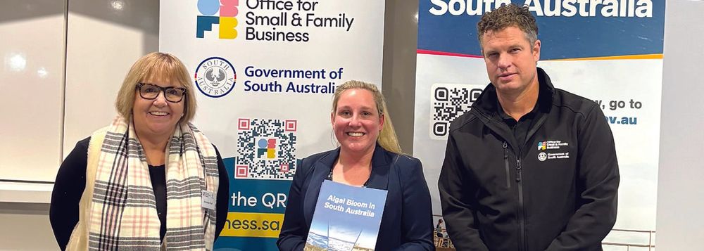 ALGAL BLOOM SUMMER PLAN: How to access business support post image