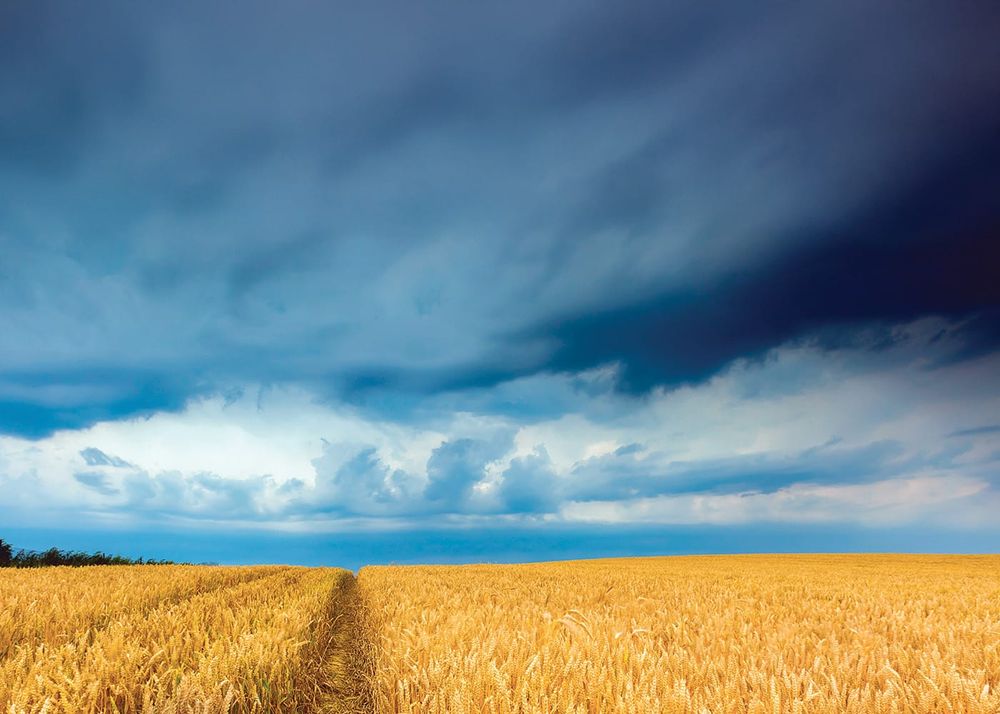 La Niña declared after wet and windy November post image
