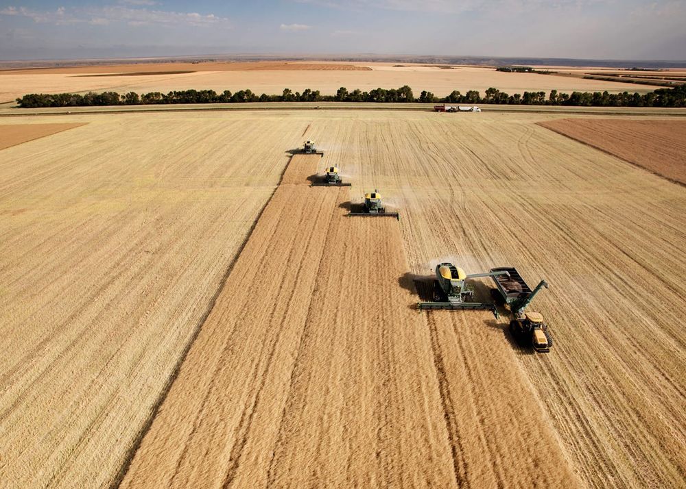 Harvest closes in as 2025 ends post image