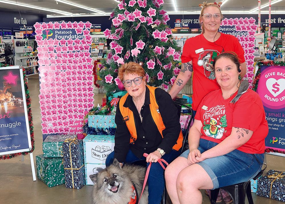 Appeal raising funds for animals helping humans post image