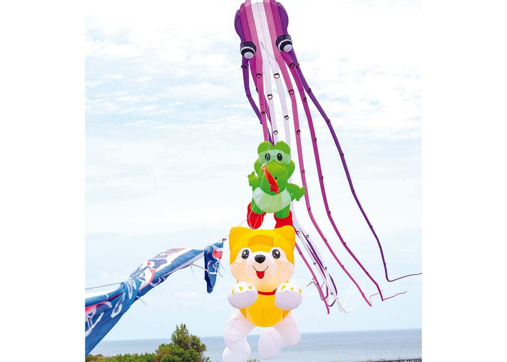 Kites fill Ardrossan skies for annual display post image