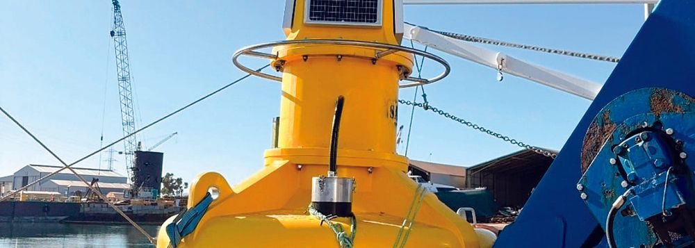 Monitoring buoys deployed to detect harmful algae off SA post image