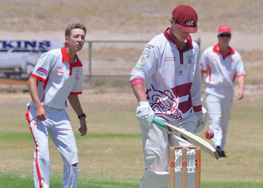 LYPCA cricket scores post image