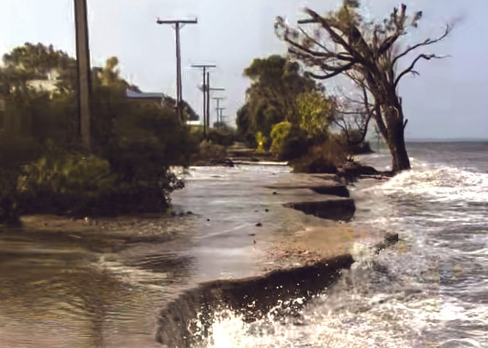 YPC successful in coastline grant post image