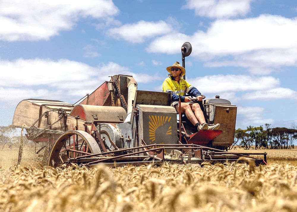 Vintage harvesters draw crowd post image
