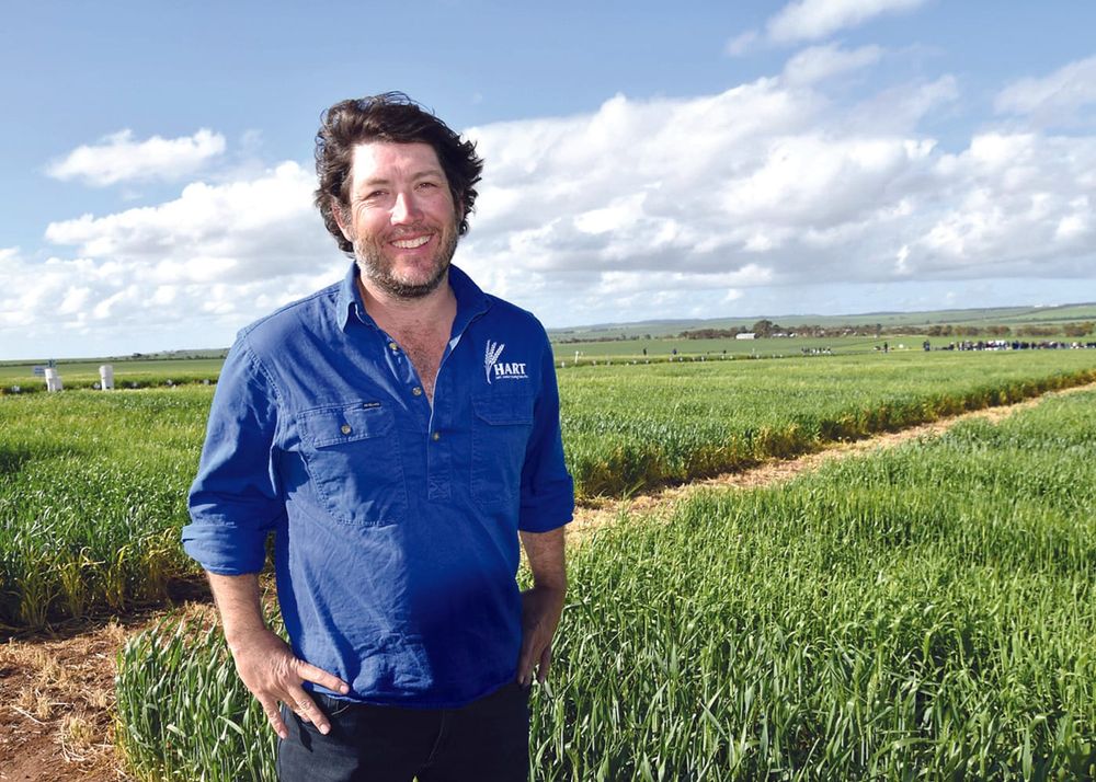 Ready, set, sow, it’s time for Getting The Crop In post image