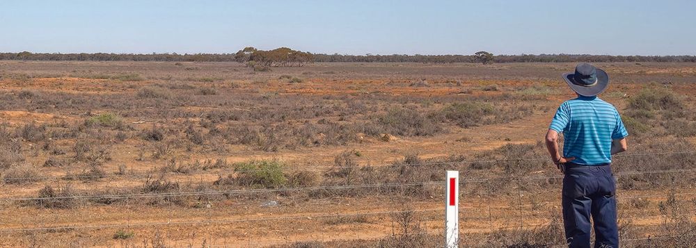 $300m lifeline for farmers post image