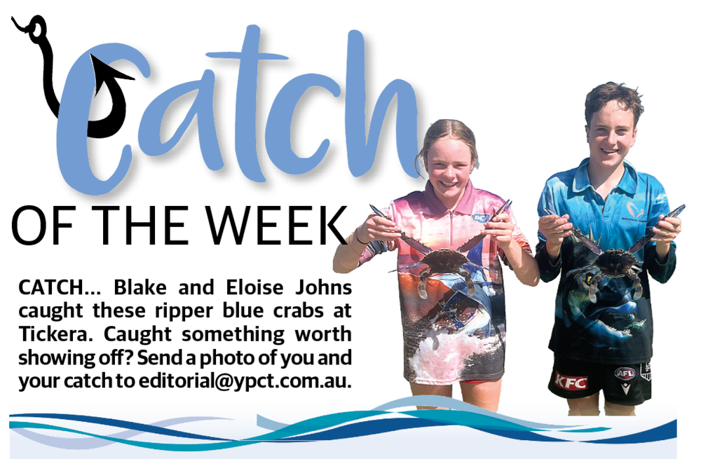 Catch of the Week post image