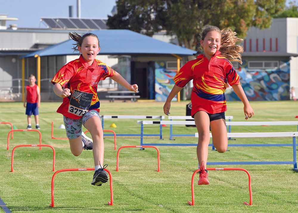 NYP Little Athletics Centre post image