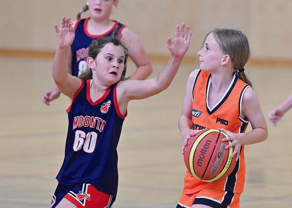 Basketball: Yorke Valley post image