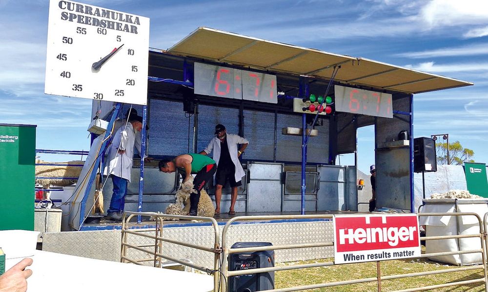 Shearers ready to flock to Curry for Speed Shear post image