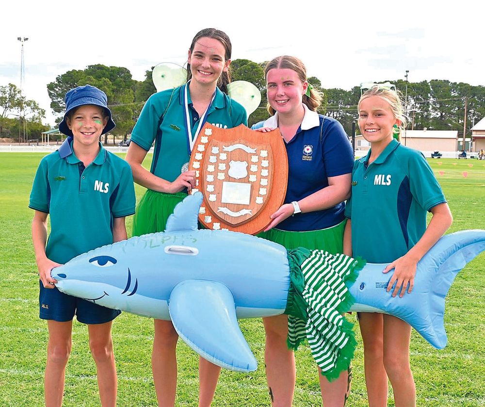 School sports days: YP students aim high post image