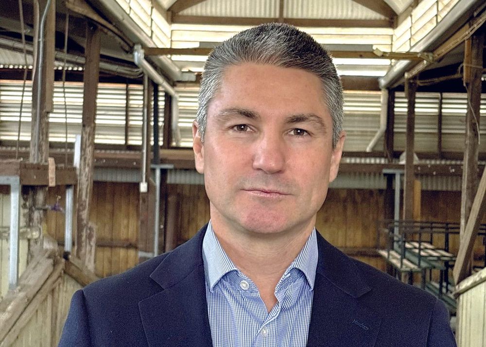 Producers urged to vote on sheep and cattle funds post image