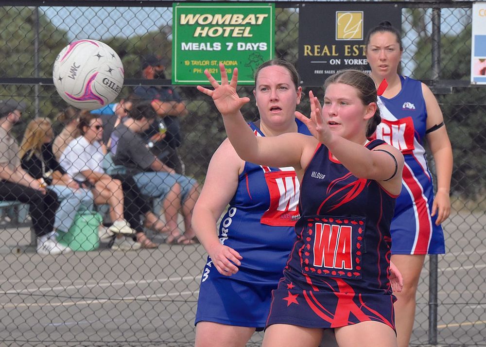 Netball: YPNA scores and reports post image