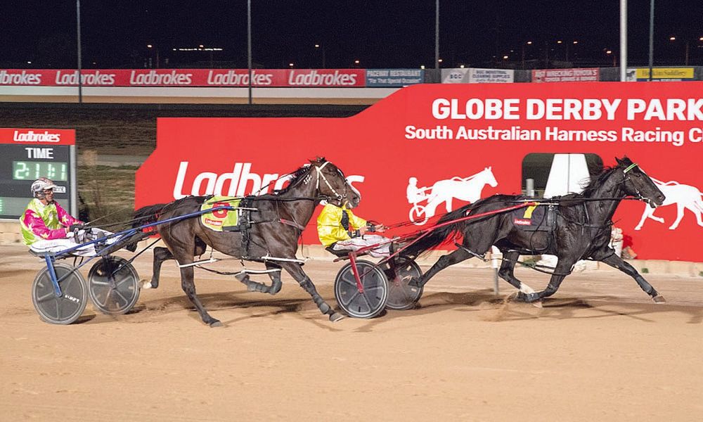 Yorke Peninsula harness racing post image