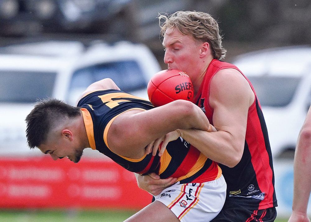 YPFL round 7 tips post image