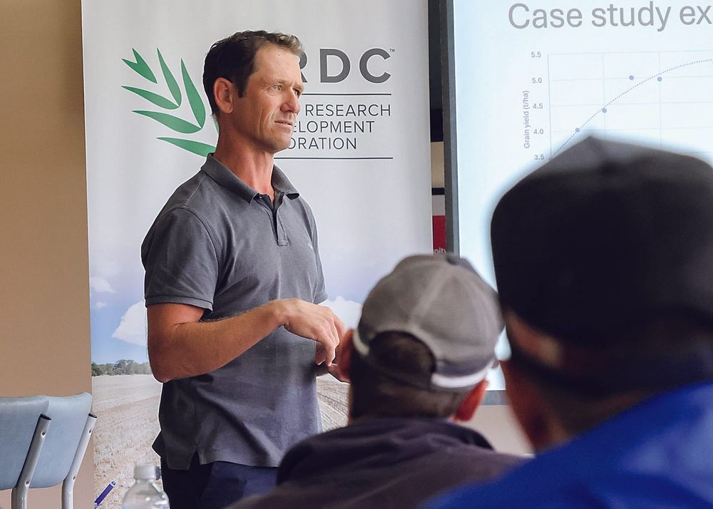 Locals awarded grains research grant post image