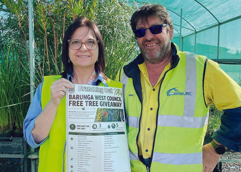 Free native tree giveaway returns post image