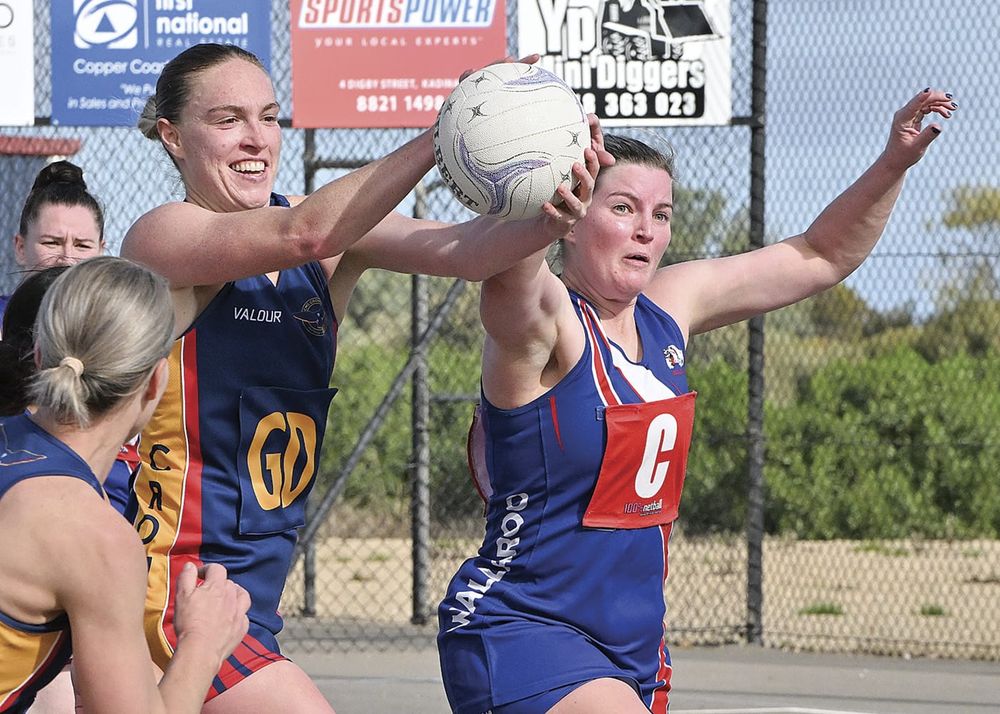 YP netball: Round 10 done and won, round 11 here we come post image
