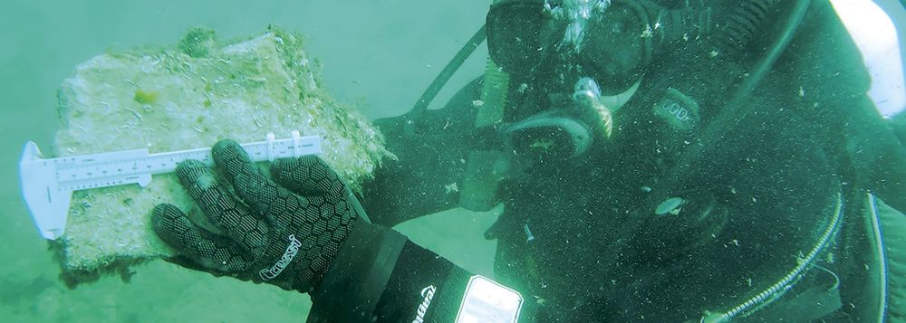 “The science is conclusive”: Inside the algal bloom crisis post image
