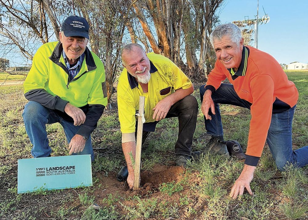 Planting for the future at field days site post image