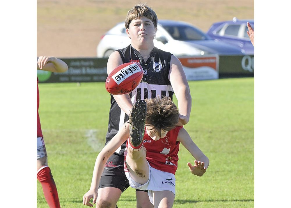 YPFL: Paskeville holds  on in Bute thriller post image