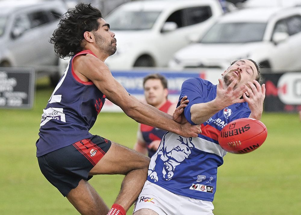 YPFL: Ferenci stars as Demons dominate Bulldogs post image