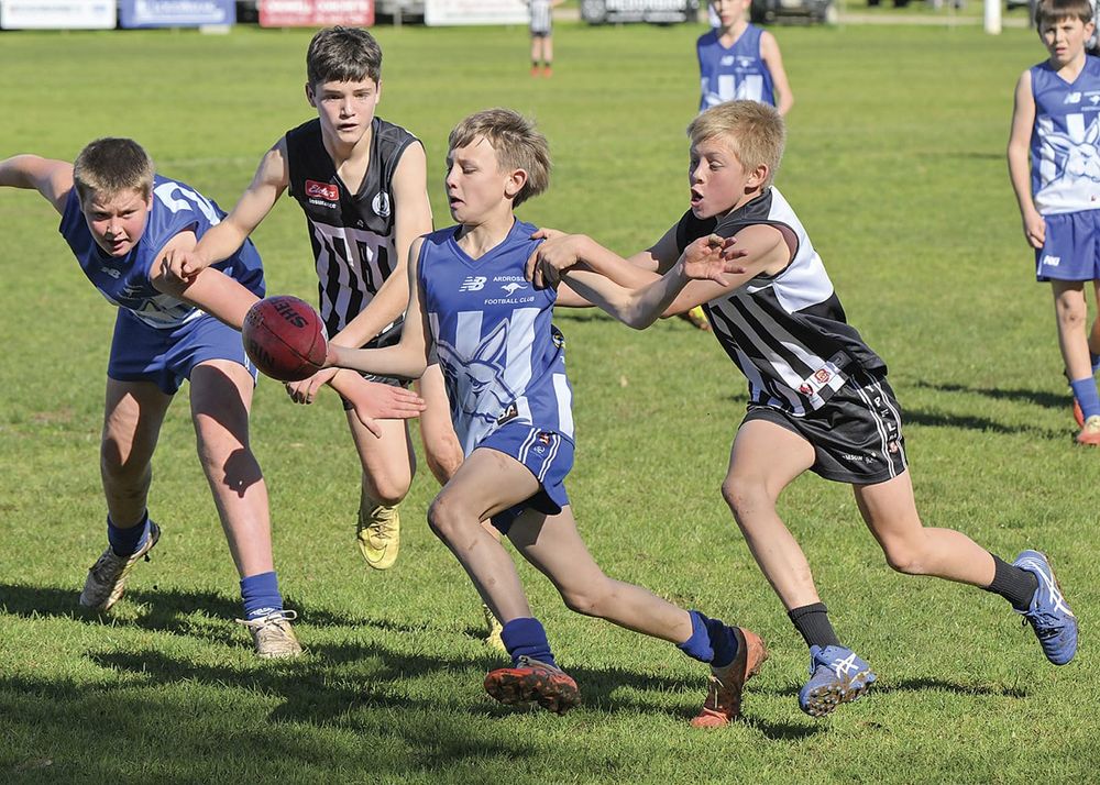 YPFL: Young Magpies seize their opportunity post image