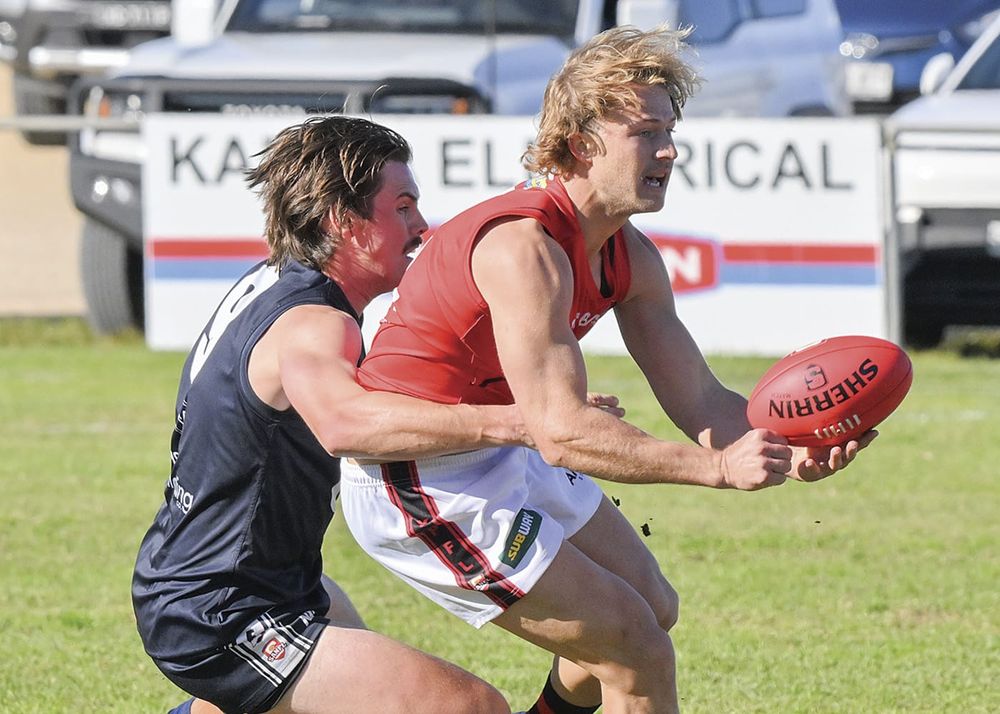 YPFL round 14 tips post image