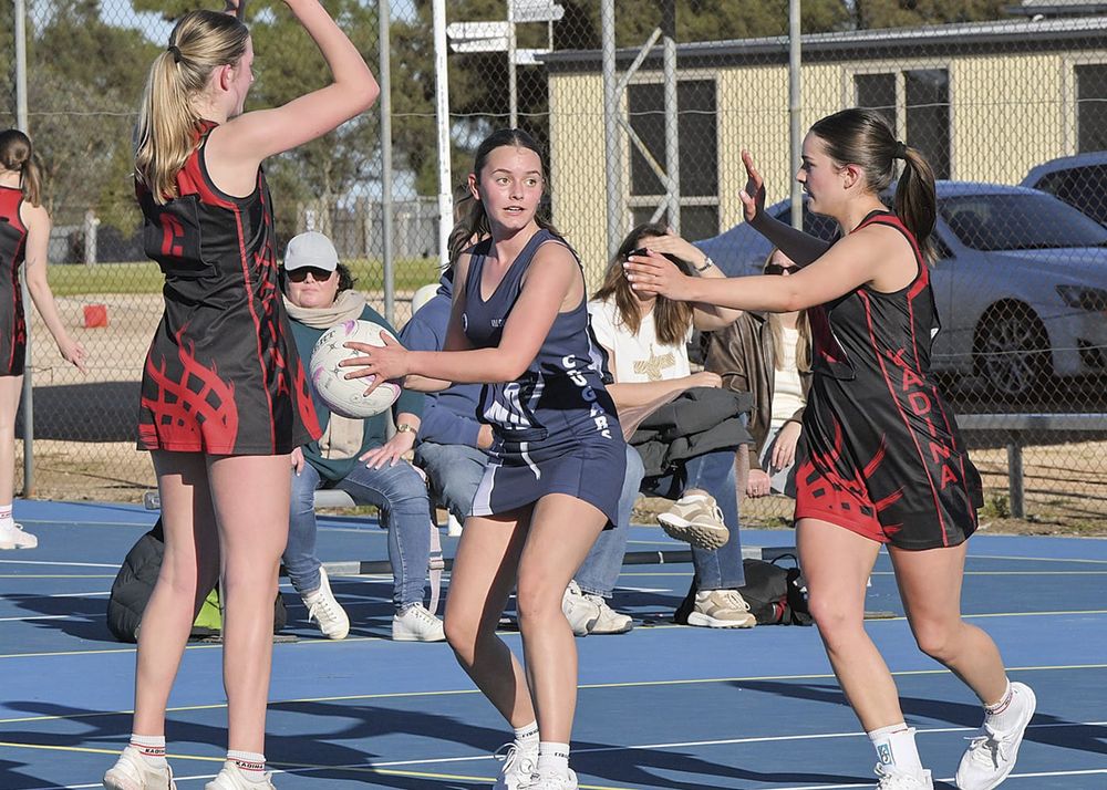 Netball: Yorke Peninsula scores and reports post image