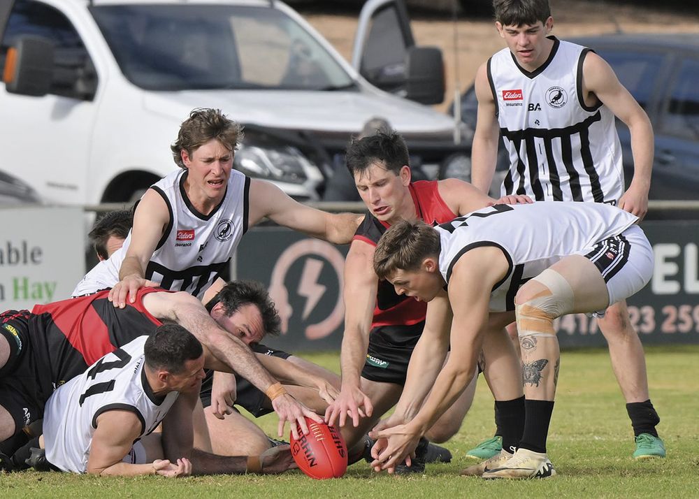 YPFL round 15 tips post image