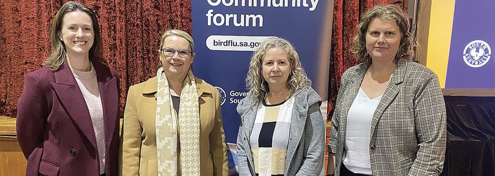 ‘Learn to live with it’: Bird flu threat could become Australia’s new normal post image