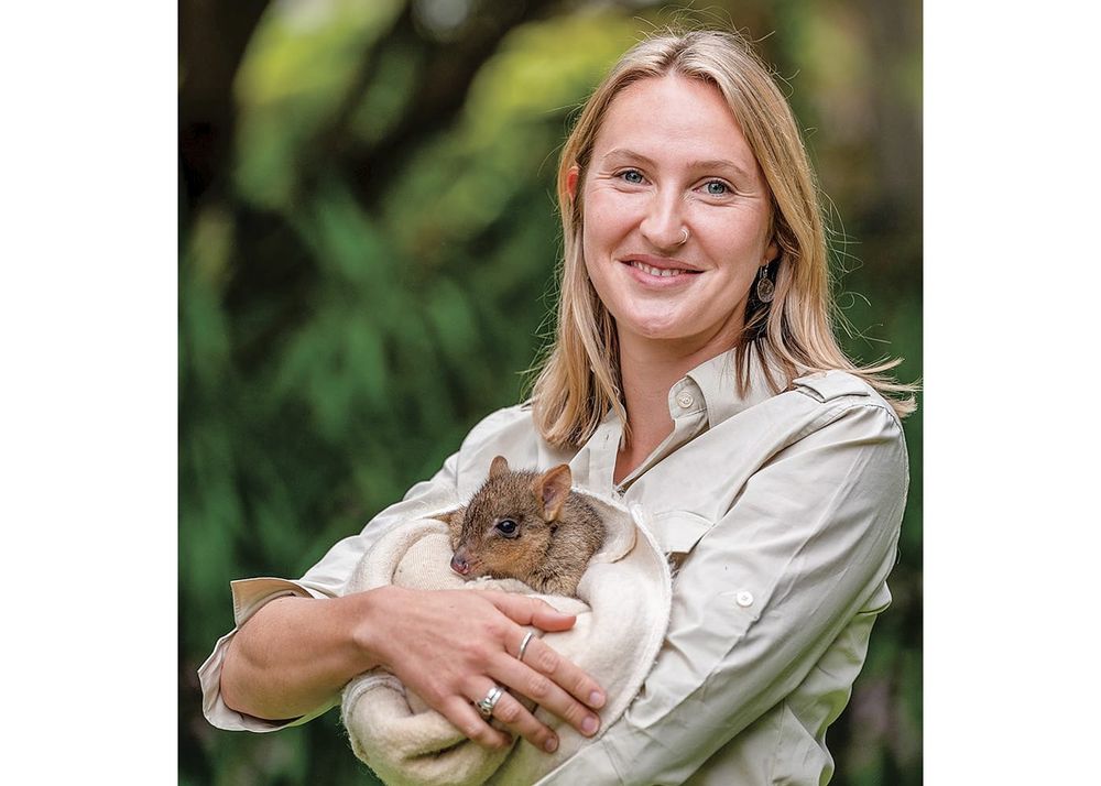 Wild return: Marna Banggara maps out the next decade post image