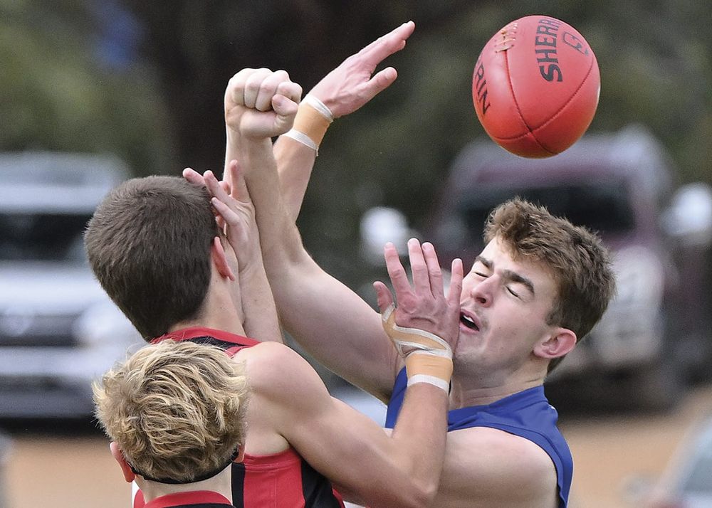YPFL: Bloods tighten grip on top spot! post image