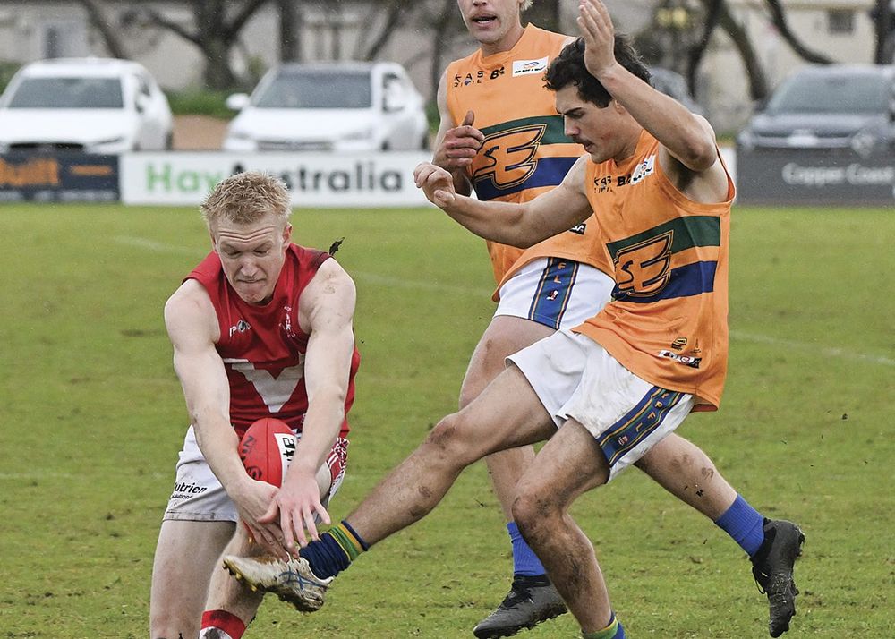 YPFL round 17 tips post image
