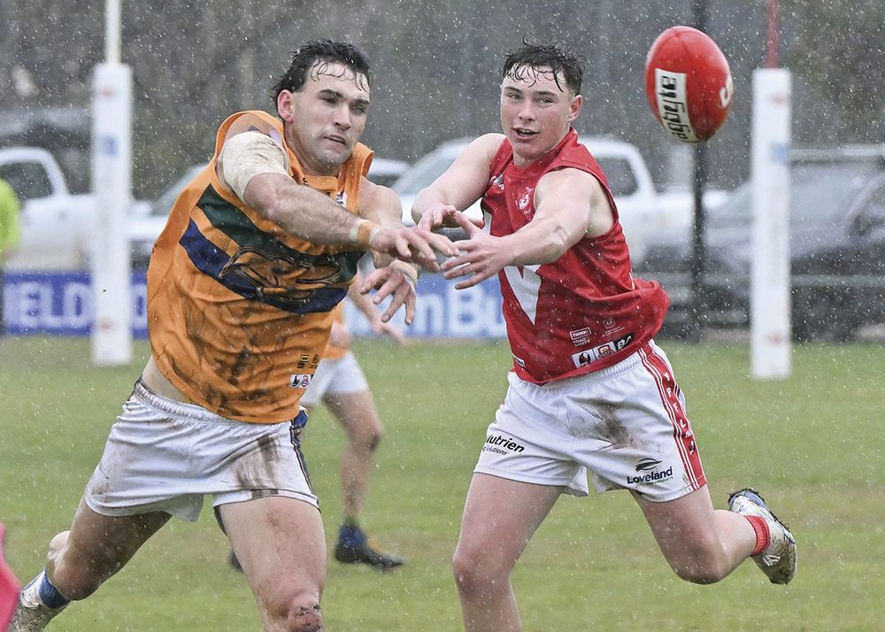 YPFL: Roosters snatch thrilling draw post image