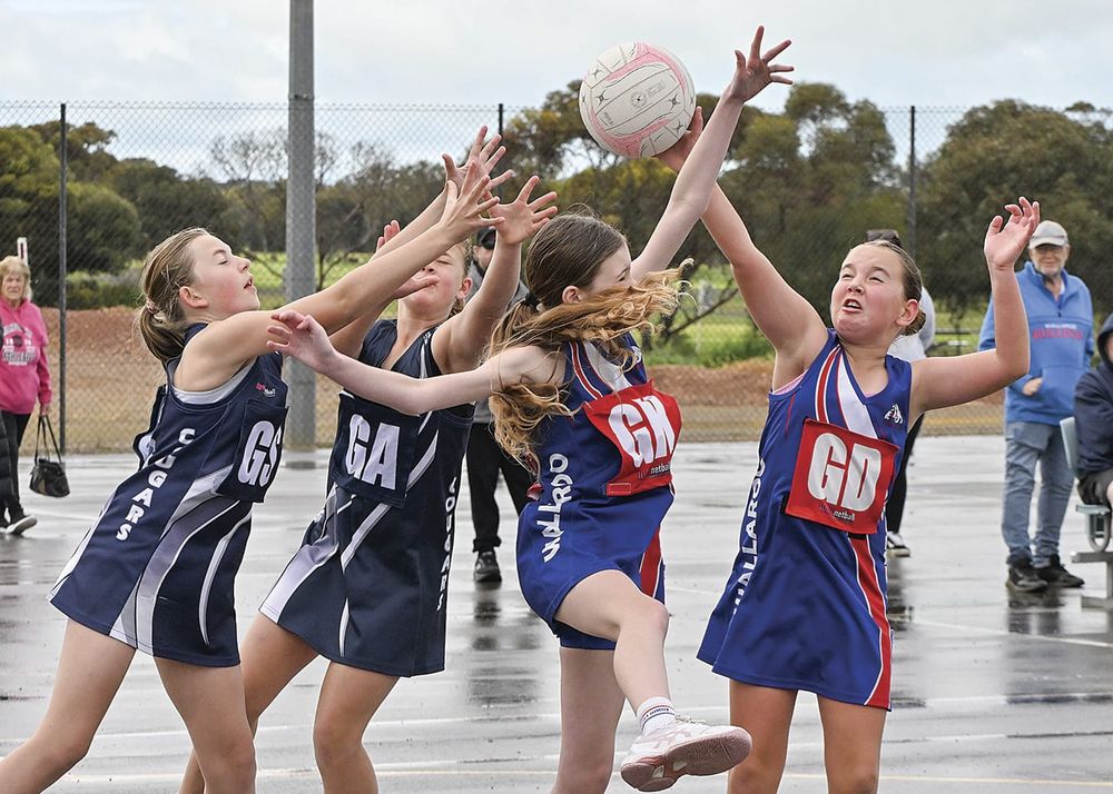 Netball: YPNA results and reports post image
