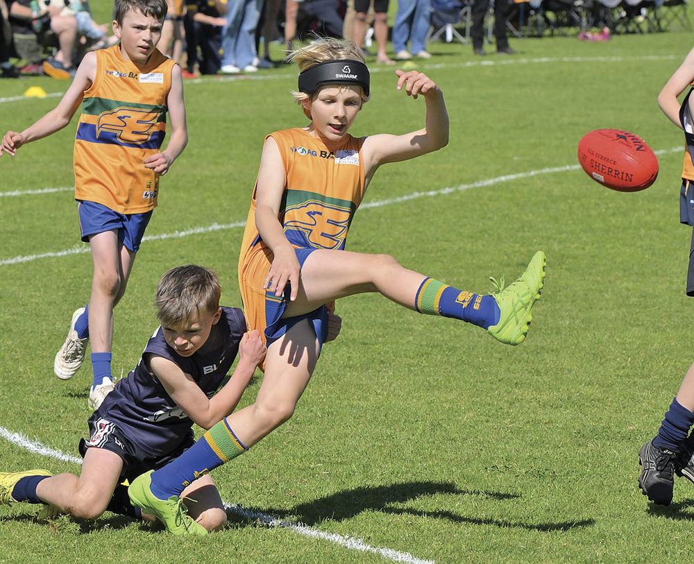 YPFL: Successful junior carnival post image