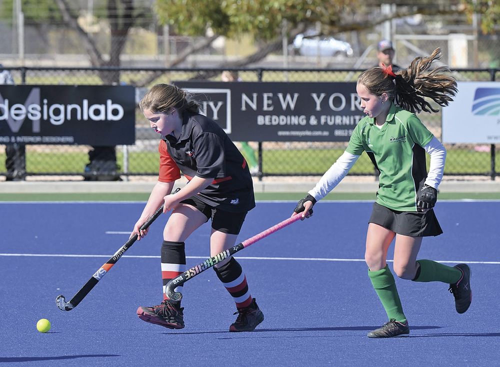 YP hockey scores post image