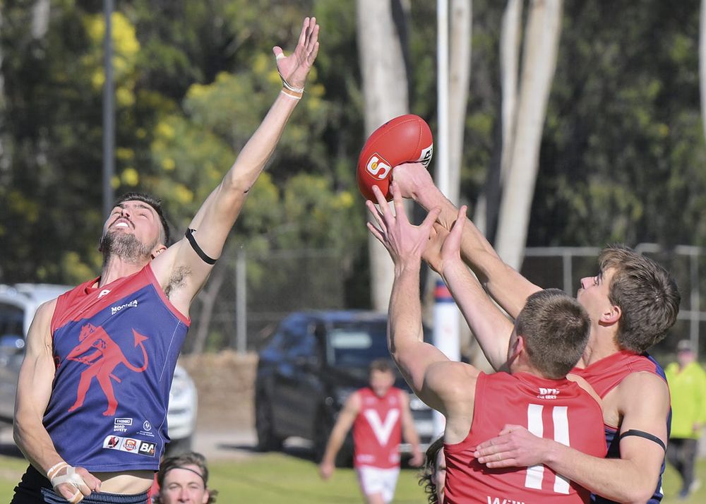 YPFL: Demons hold off Roosters challenge post image