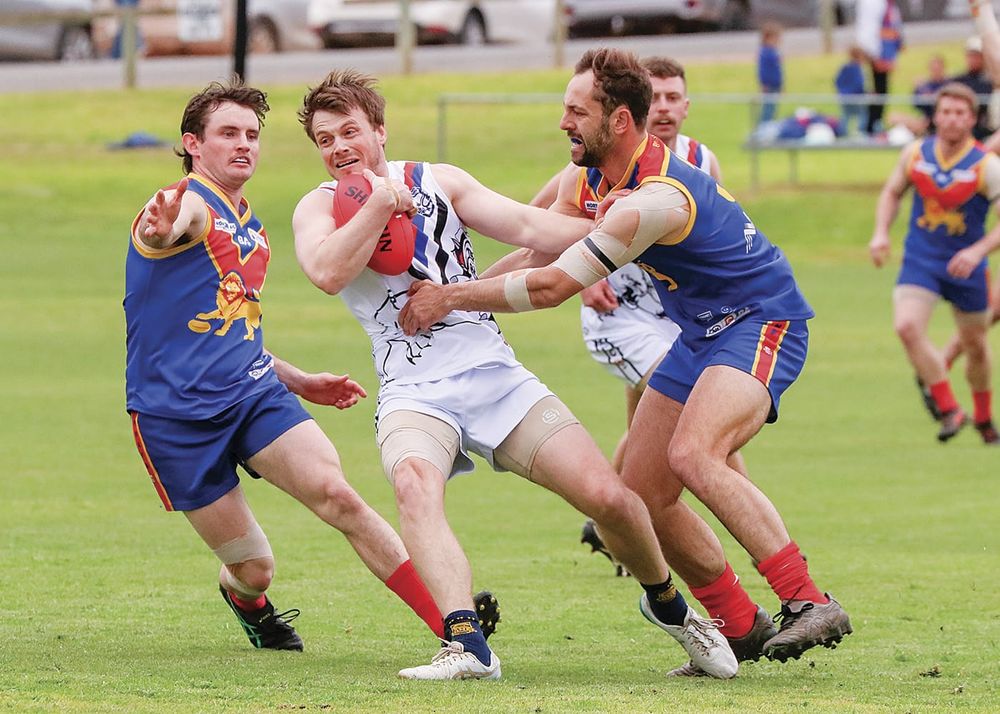 NAFA: Eagles upset BMW at home post image