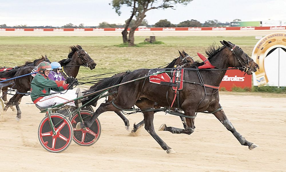 YP Harness Racing Club news post image