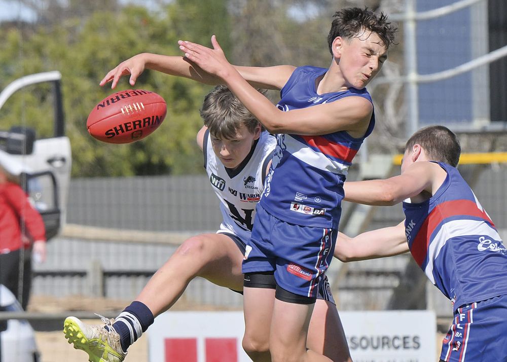 YPFL junior colts: Dogs book grand final showdown with Moonta post image
